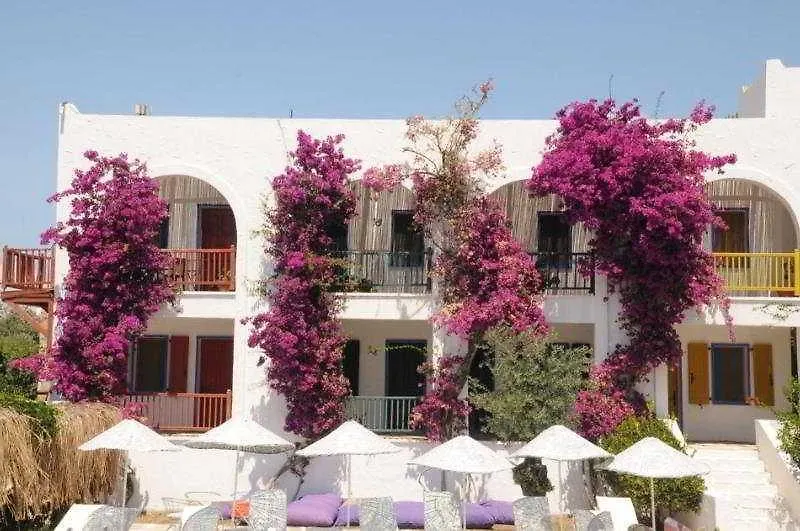 Samdan Hotel Yalikavak 2*,